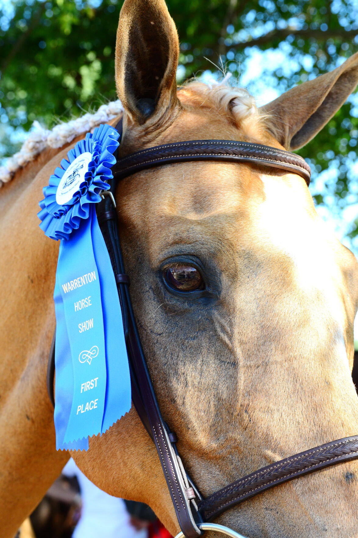 blue ribbon
